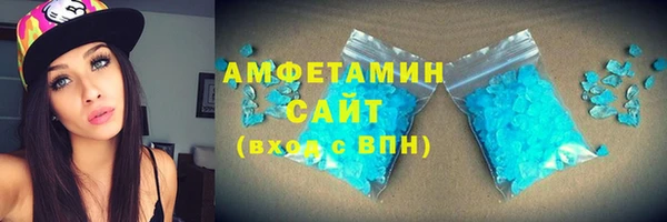 индика Алзамай