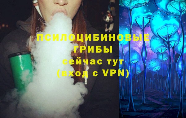 спиды Лагань
