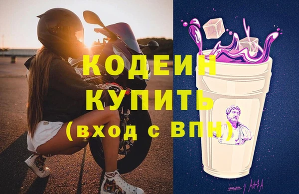 индика Алзамай