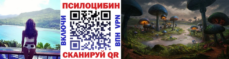 Псилоцибиновые грибы мицелий мега как зайти Яхрома